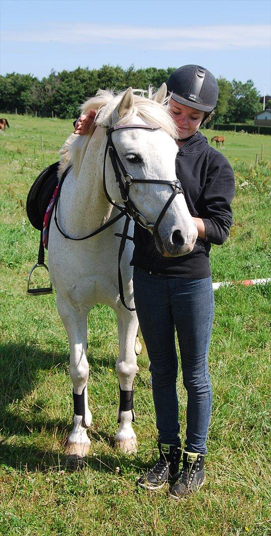 Anden særlig race Andrea billede 5
