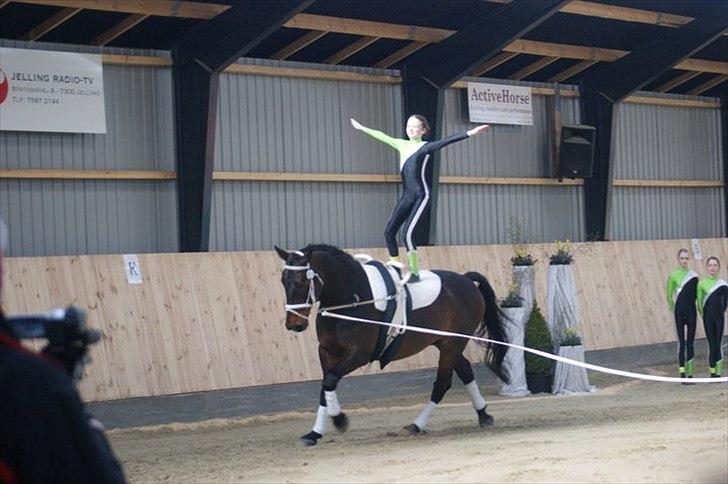 Oldenborg Kobjerggård's  Bolero Voltigerings hesten - Bolero og mig til et voltig stævne i VKT  billede 1