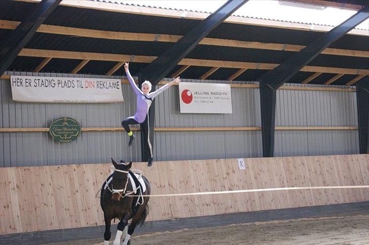 Oldenborg Kobjerggård's  Bolero Voltigerings hesten - hop på bolero aller første gang  billede 4