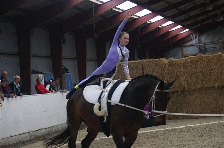 Oldenborg Kobjerggård's  Bolero Voltigerings hesten - stævne i varde  billede 6