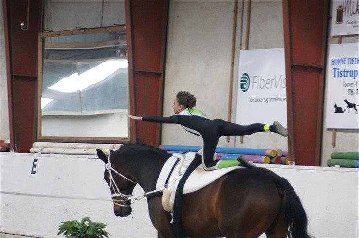 Oldenborg Kobjerggård's  Bolero Voltigerings hesten - fane på bolero  billede 7