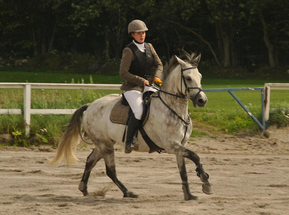 Anden særlig race Lukas - Æresrunde i LB på HUR d.7-8-2011  billede 13