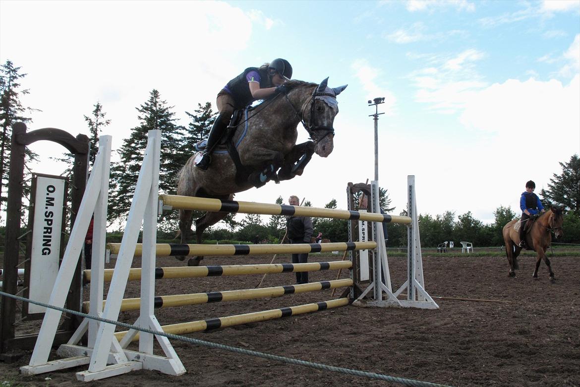 Anden særlig race Snefjer *Solgt* <3 - Rytterlejr 2011 1,25 billede 20