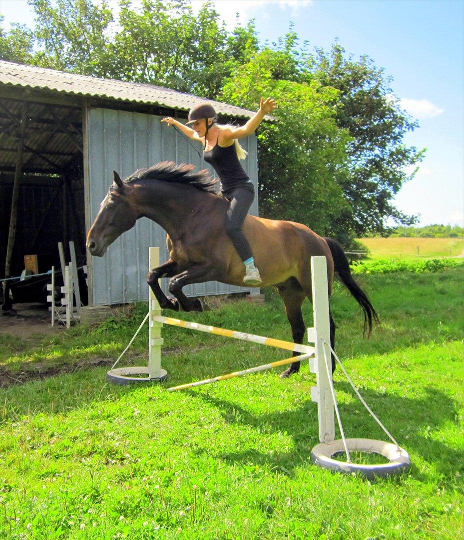 Anden særlig race Conrad <3 billede 2