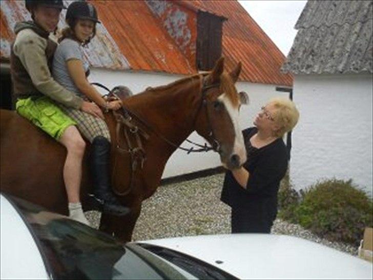 Anden særlig race Isabella (Issa) <3 Solgt :'( billede 32