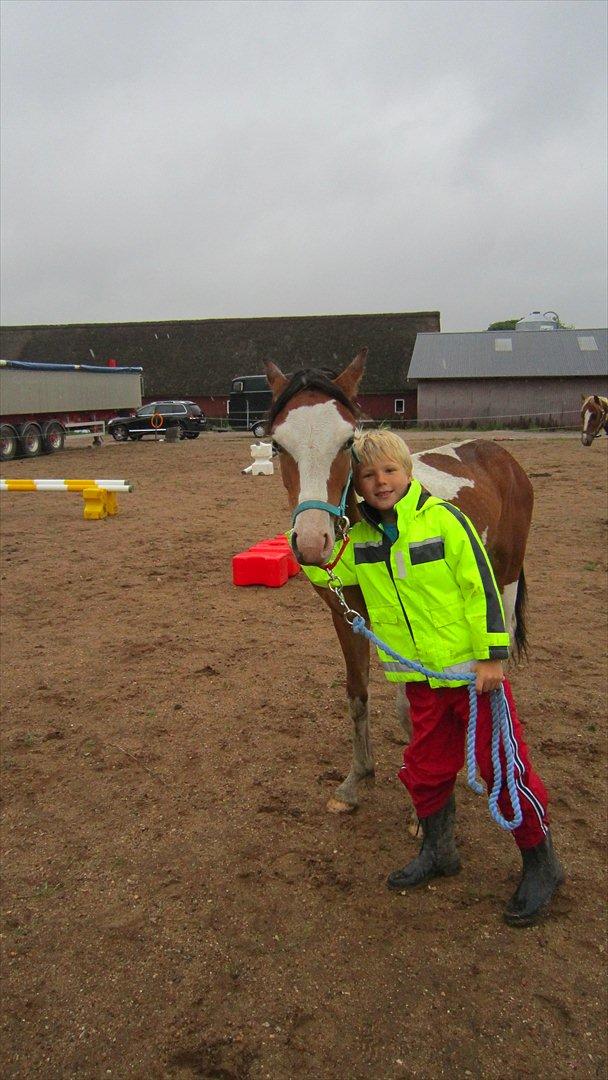 Anden særlig race Prins Viggo /Hania billede 5