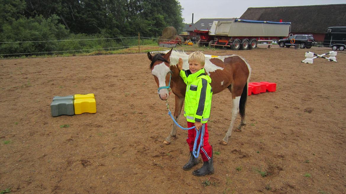 Anden særlig race Prins Viggo /Hania billede 6