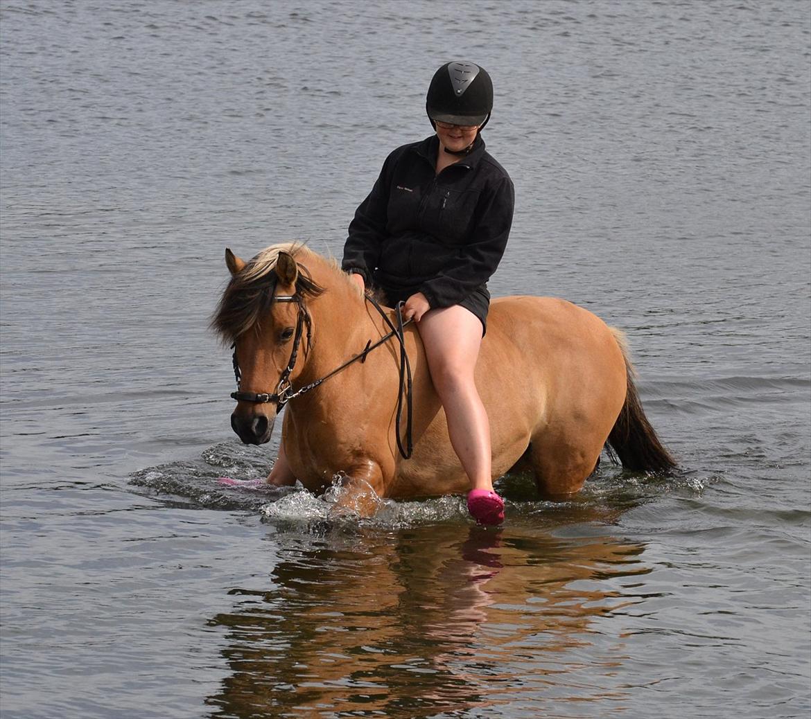Anden særlig race Bianca - Et stort bade dyr :D billede 19
