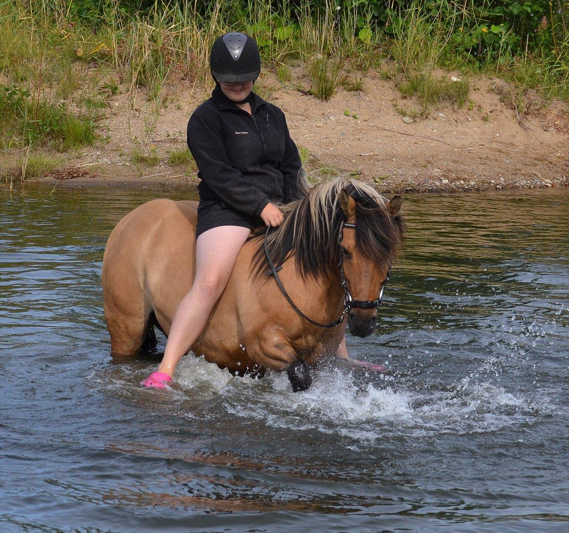 Anden særlig race Bianca - Jeg er så glad for min vandhest jeg kommer hurtigt langt omkring ... Plaske plaske billede 18