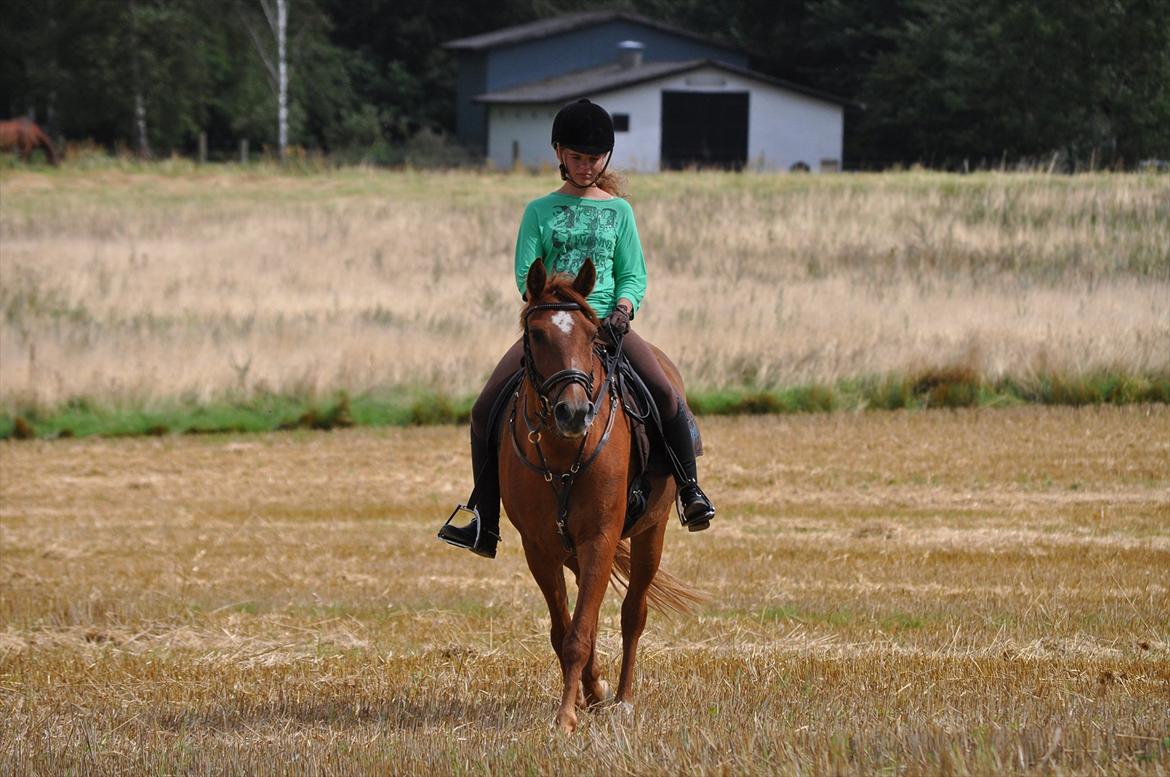 Anden særlig race Celina - D 9-8-2011 billede 18