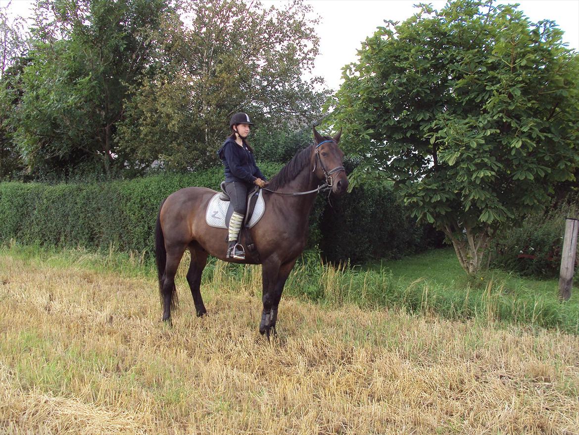 Anden særlig race Teglgårdens Farengo - vi sku da også på marken ;) billede 5