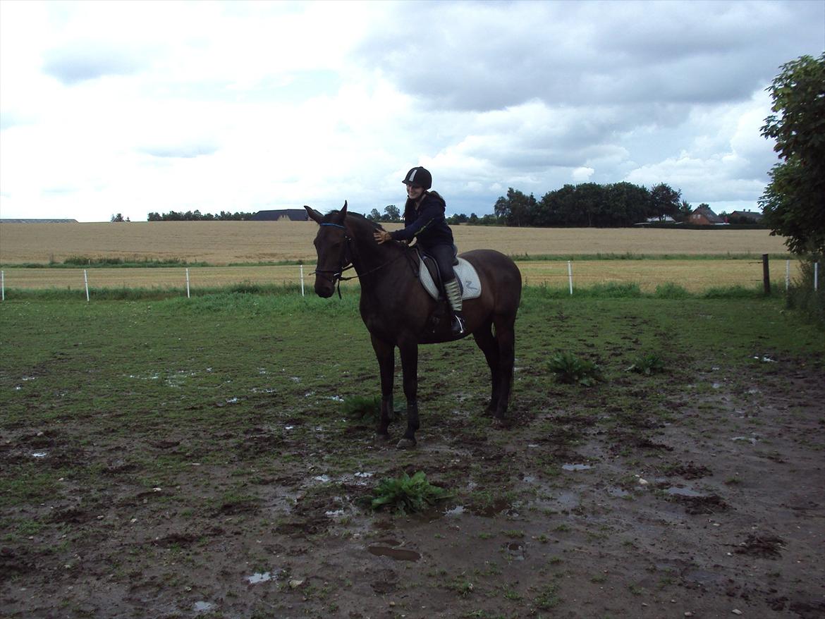 Anden særlig race Teglgårdens Farengo billede 4