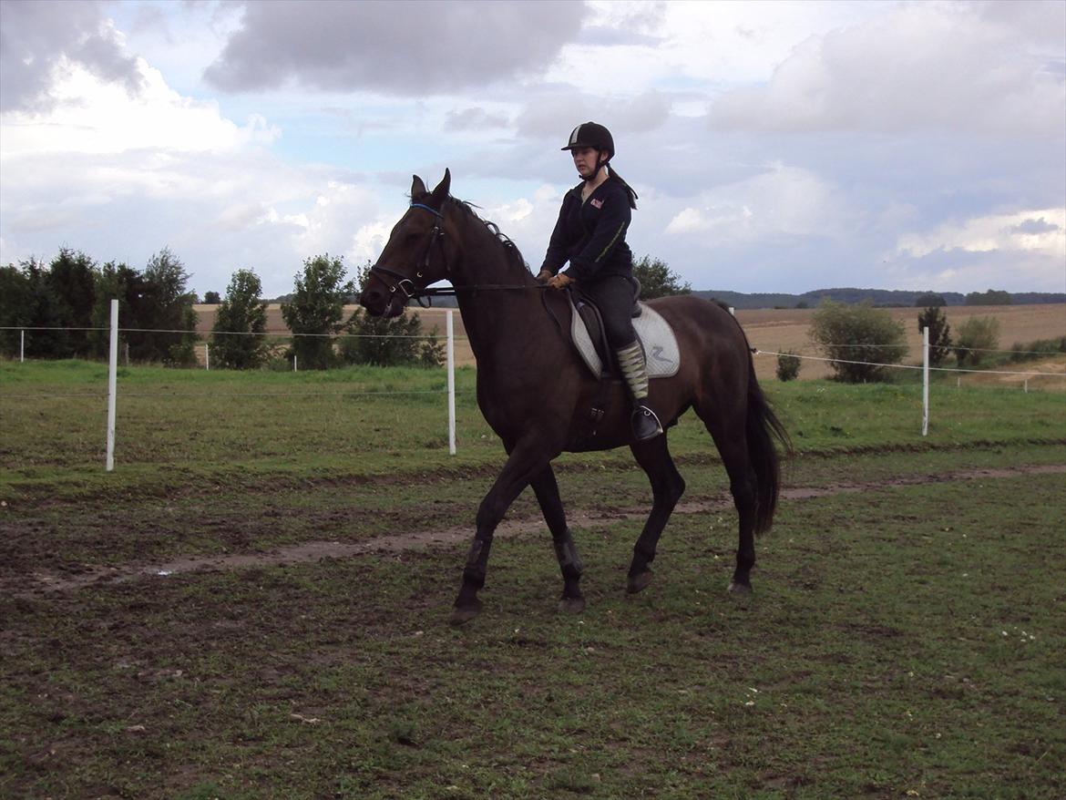 Anden særlig race Teglgårdens Farengo billede 3