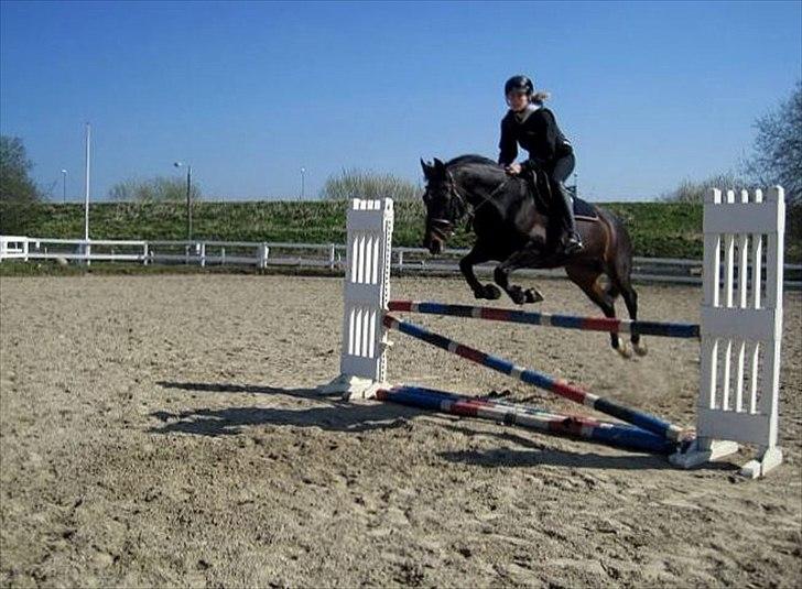 Anden særlig race Lux Liberty - Part billede 9