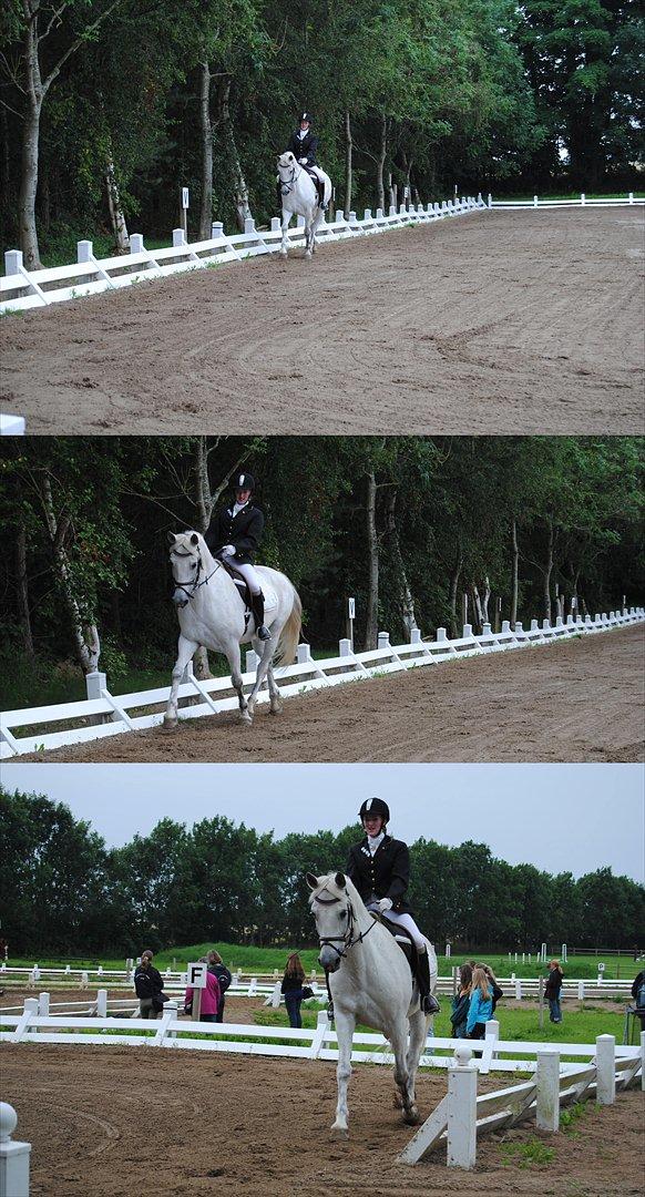 Anden særlig race Karlsbjerggårs´s Shadow A billede 18