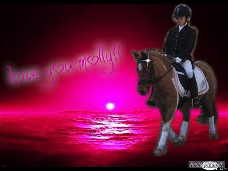 Anden særlig race Rørengs Molly<3(Solgt) - Velkommen til Mollys Profil! 
Sejt billede ikk? har selv lavet det:-D
HeHe! billede 1