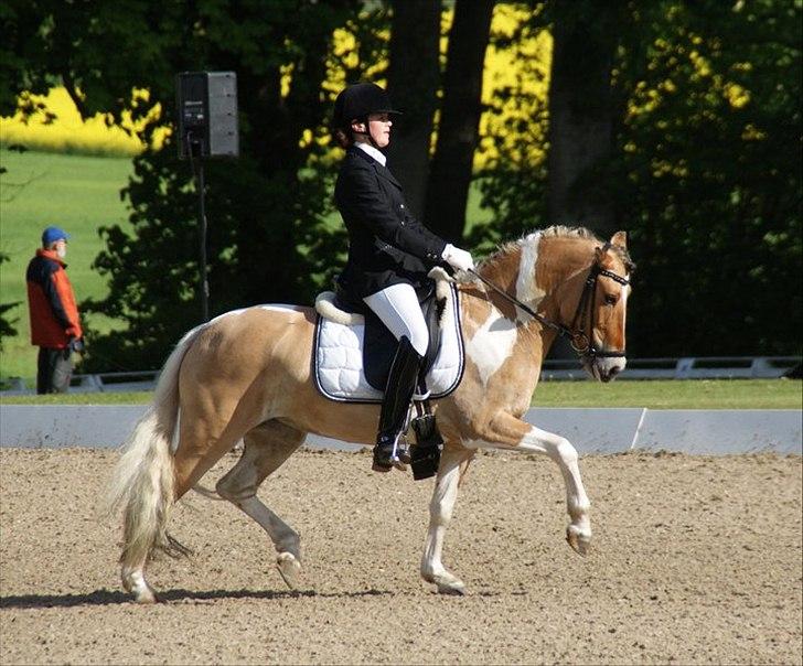 Anden særlig race Freja - A pony - Landsstævne Broholm billede 14