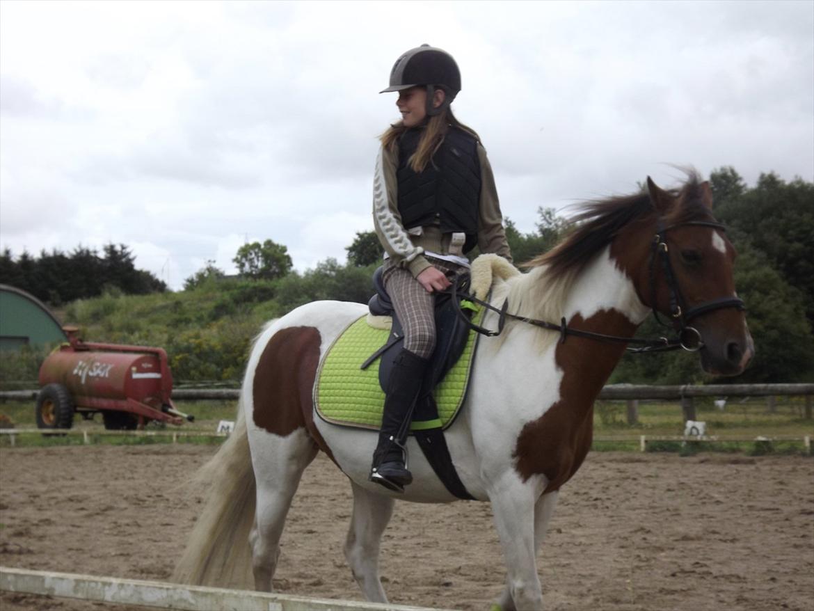 Pinto Starlight-  tidl Lånepony- l - Hellere kort tid med den rette - end lang tid med den forkerte¤Dressurundervisning. Foto:Mia med mit kamera billede 6