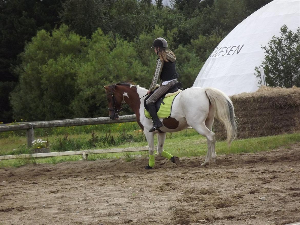 Pinto Starlight-  tidl Lånepony- l - Du er unik, og speciel, du er værd at elske¤Dressurundervisning. Foto:Mia med mit kamera billede 8