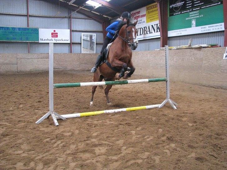 Anden særlig race Sevilla billede 12