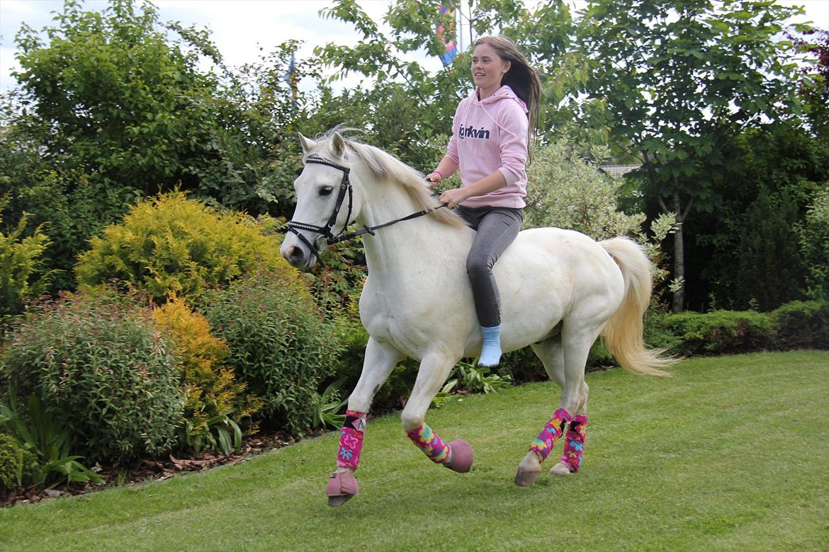 Anden særlig race Whisdom By Jazz [Søsters] - En lille galop i haven :p Foto: Lykke Godskesen billede 13