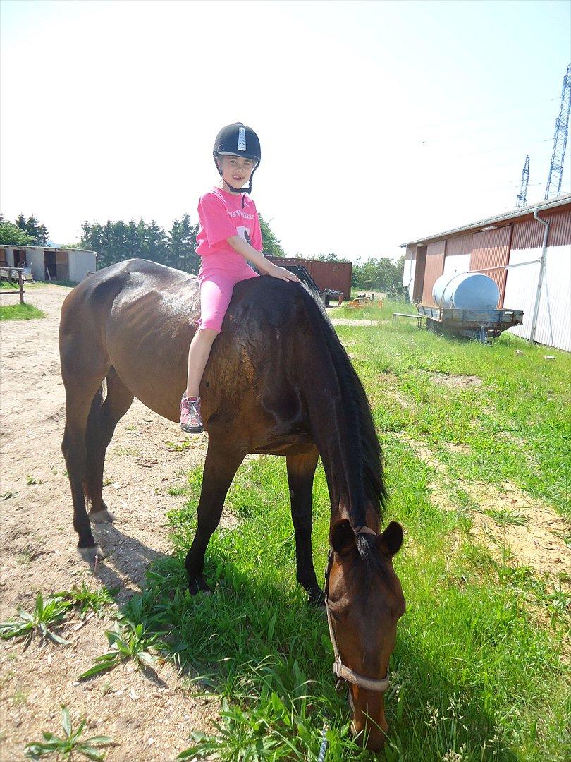 Traver Miss Williams - D. 6. juni: Maya måtte lige op og sidde, mens Miss gik og græssede... billede 13