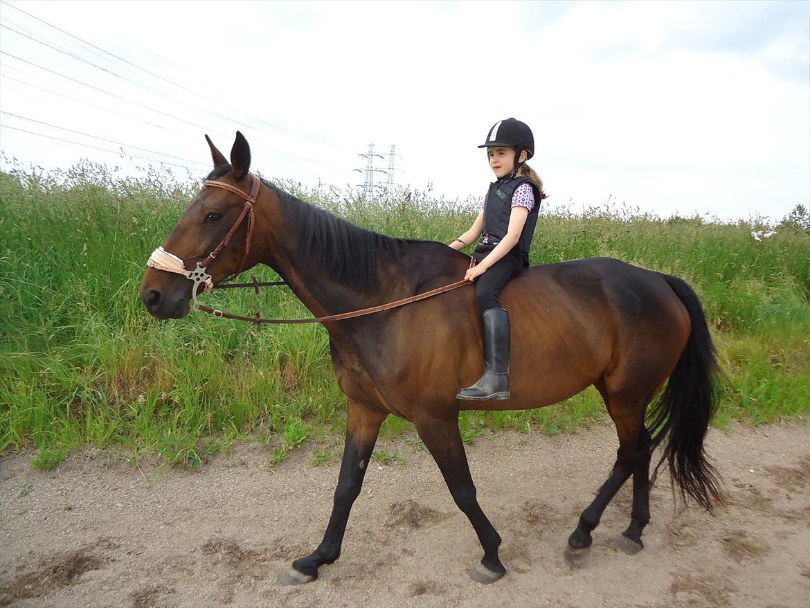 Traver Miss Williams - D. 8. juni: Maya rider en tur på Miss på ridebanen billede 14