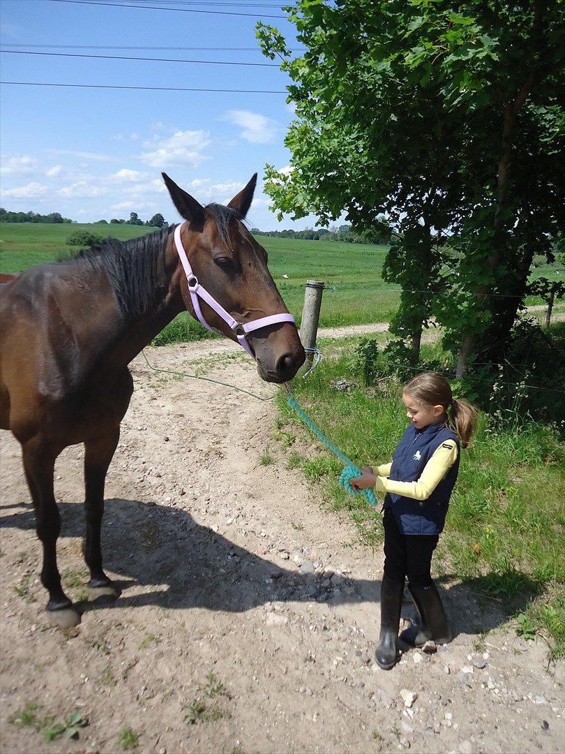 Traver Miss Williams - Maya trækker Miss ind... billede 15