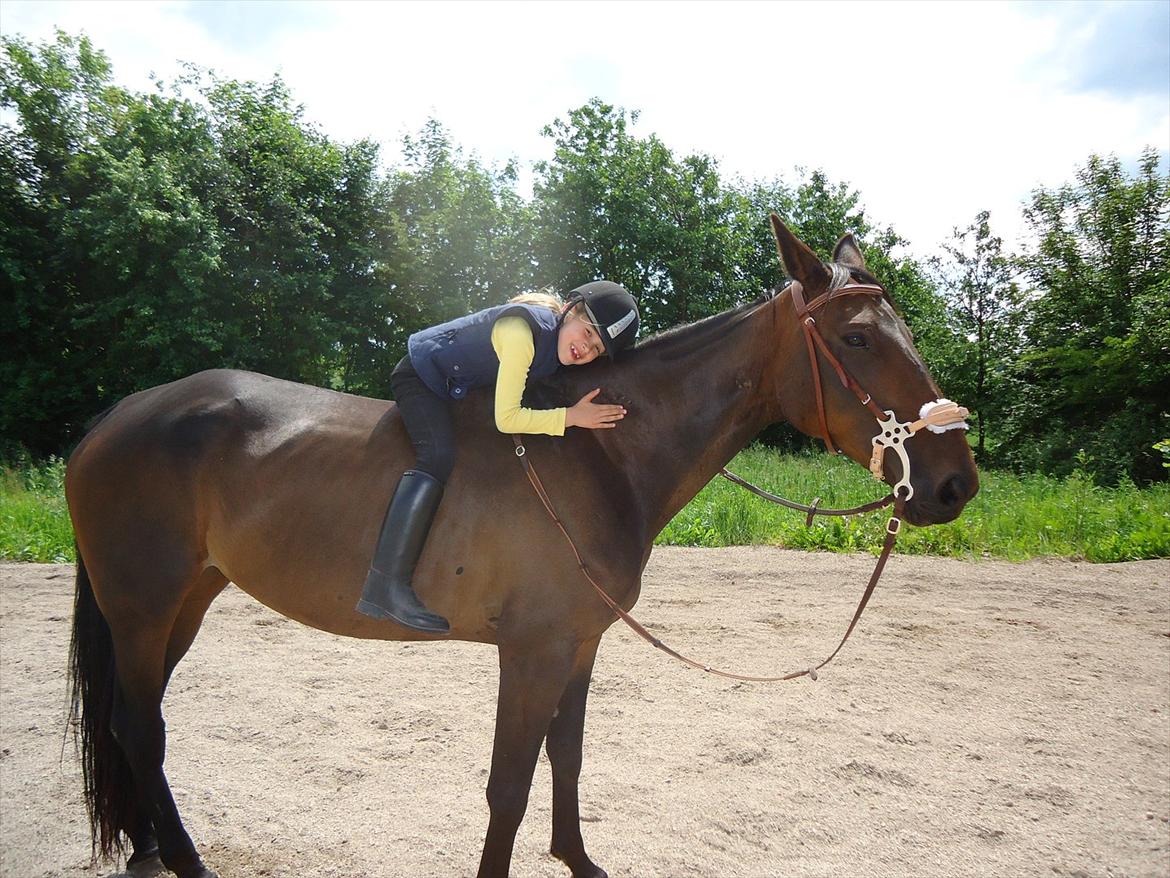 Traver Miss Williams - Er de ikke søde? :o) billede 16