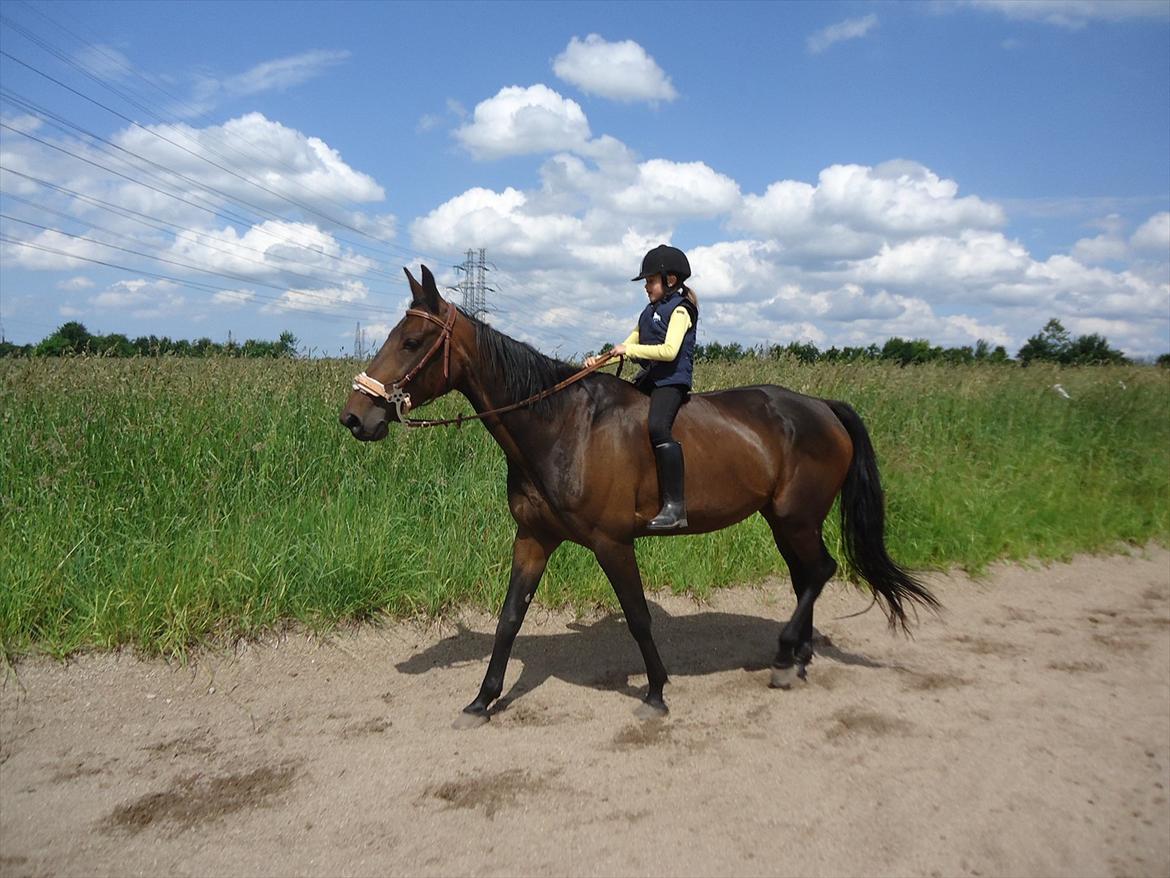 Traver Miss Williams - Maya rider på banen billede 17