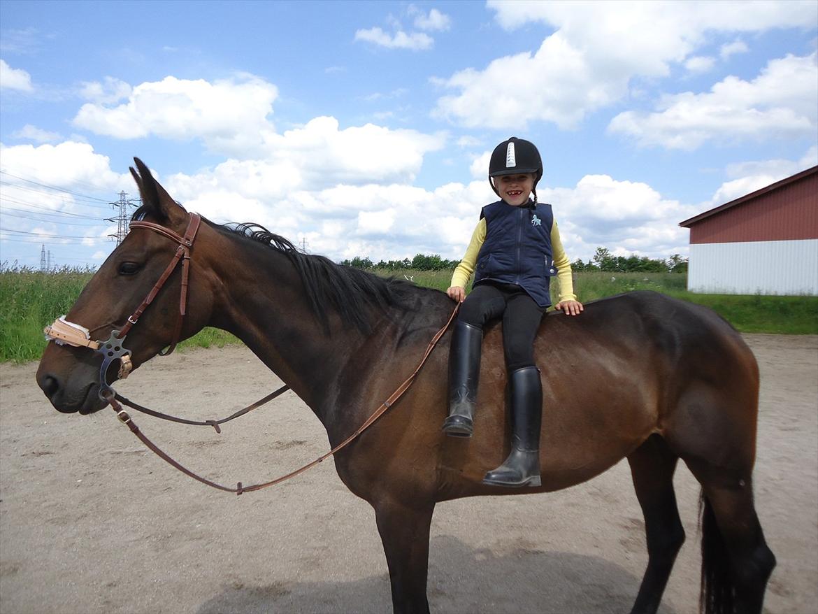 Traver Miss Williams - Miss & Maya billede 18