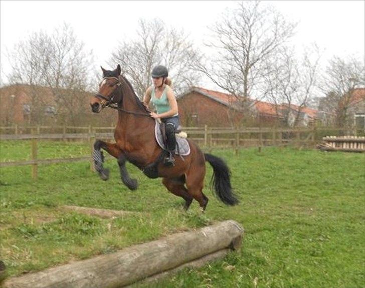 Anden særlig race Kehops De Nonville - du og jeg gennen tykt og tyndt billede 16