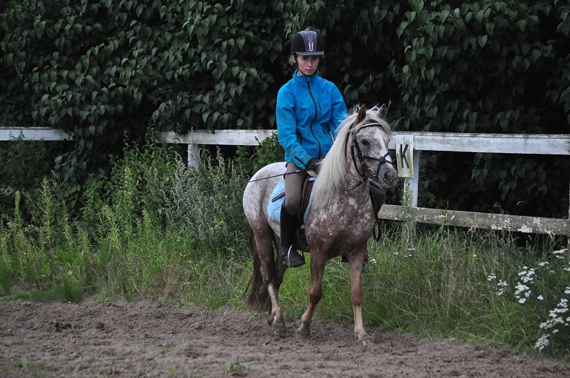 Anden særlig race Freya  >>Solgt! << - Skridter :-* billede 11