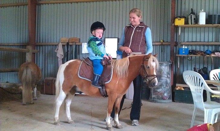 Anden særlig race Stuart Little Largo - Min 2-årige søn Benjamin rider indimellem på Stuart. billede 9