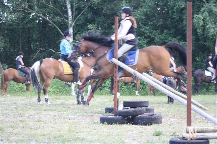 Anden særlig race Mikael <3 billede 5