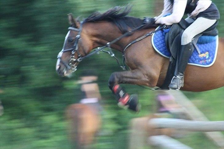 Anden særlig race Mikael <3 billede 6