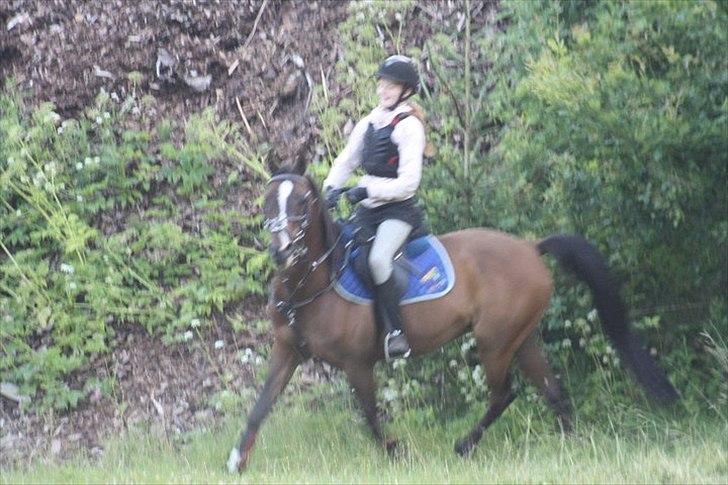 Anden særlig race Mikael <3 billede 8