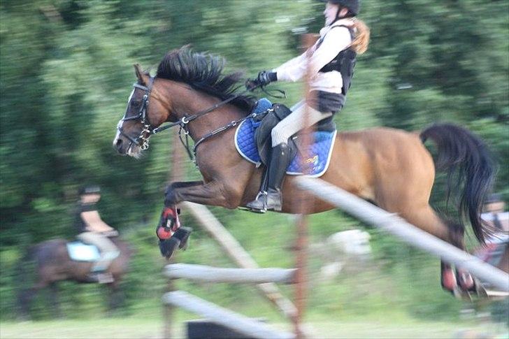 Anden særlig race Mikael <3 billede 9