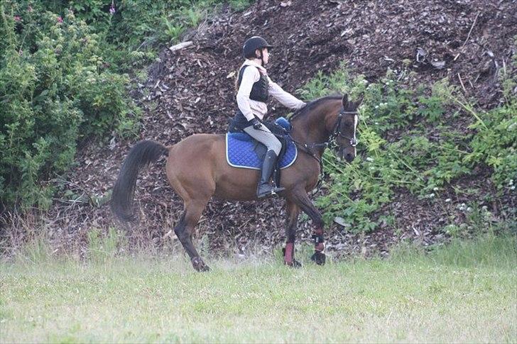 Anden særlig race Mikael <3 billede 10