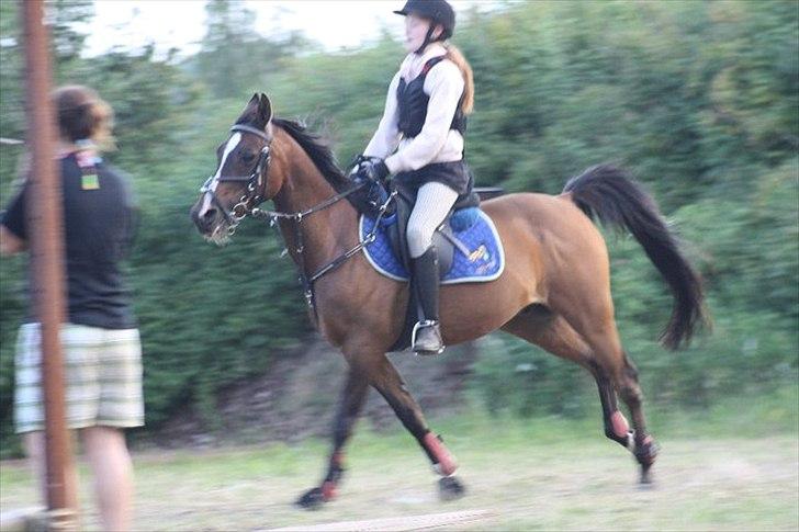 Anden særlig race Mikael <3 billede 11