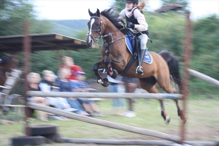 Anden særlig race Mikael <3 billede 12