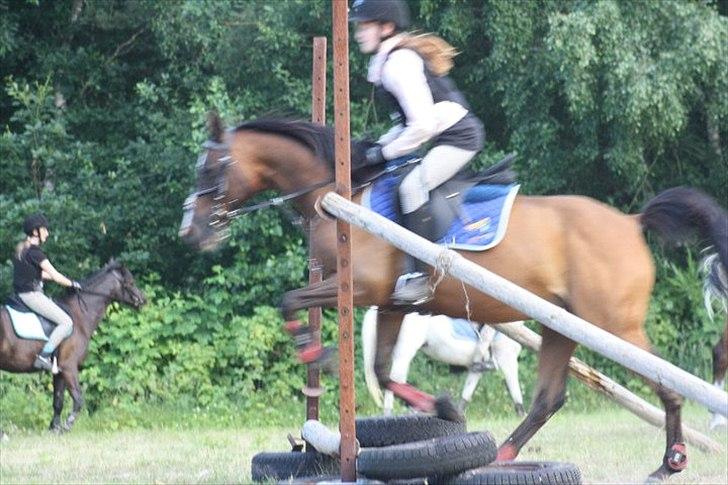 Anden særlig race Mikael <3 billede 14