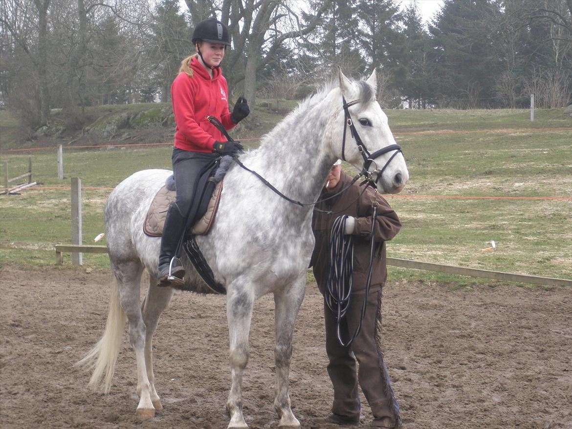 Anden særlig race Lambruzzo billede 4