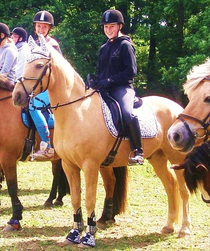 Palomino Bornhorse Pelle - ringrider festen 2011 billede 1