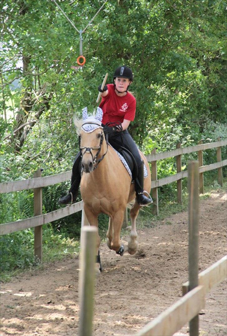 Palomino Bornhorse Pelle - ringrider festen 2011 billede 19