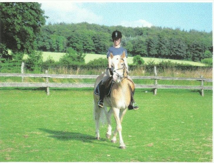 Haflinger Prins - Første ridetur
Foto: Ove billede 6