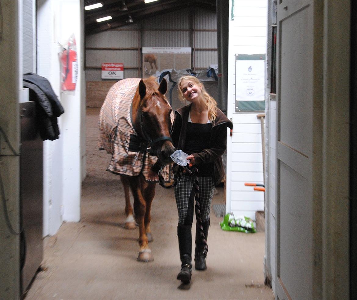 Anden særlig race Fabian  - Jeps hehe foto: Carina  billede 8