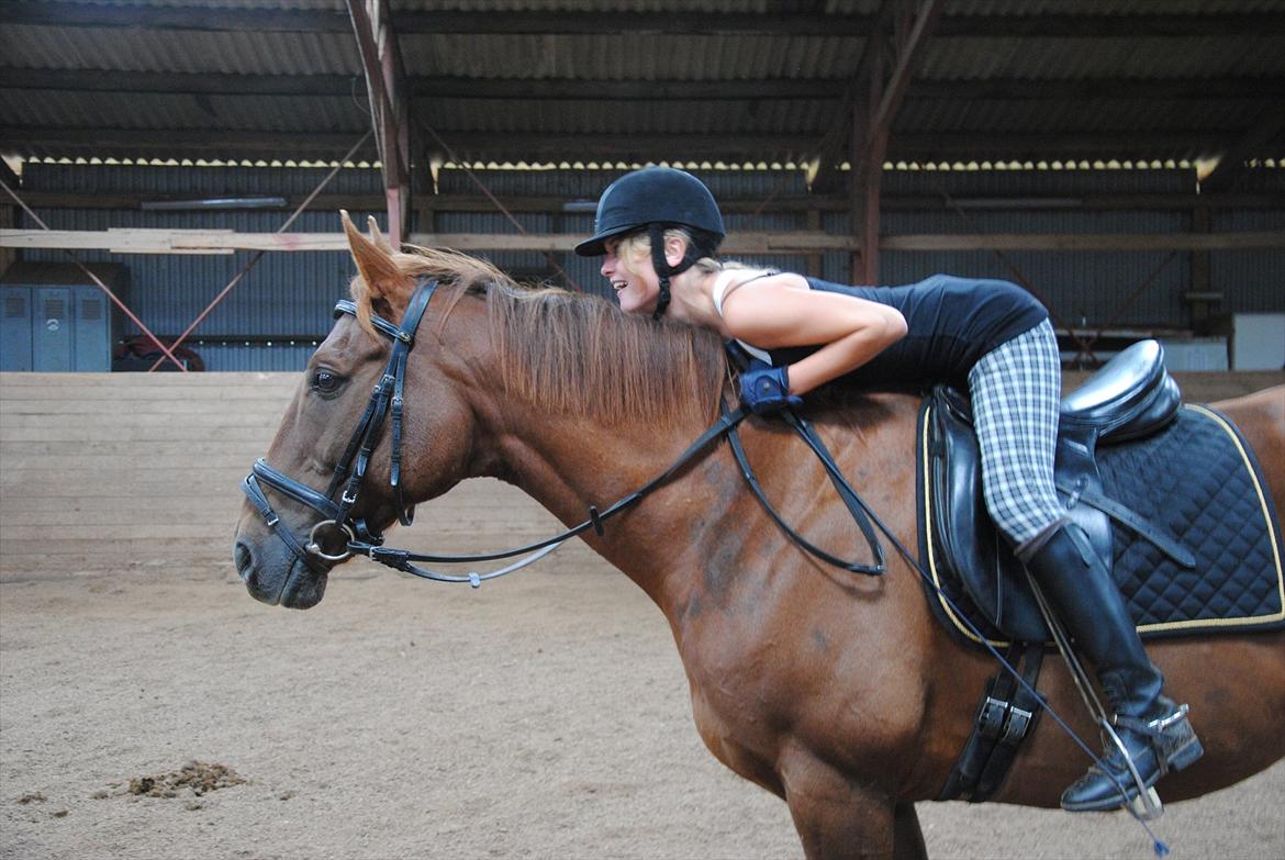 Anden særlig race Fabian  - "Hvad har du fået øje på lille ven" Foto: Carina :) billede 12