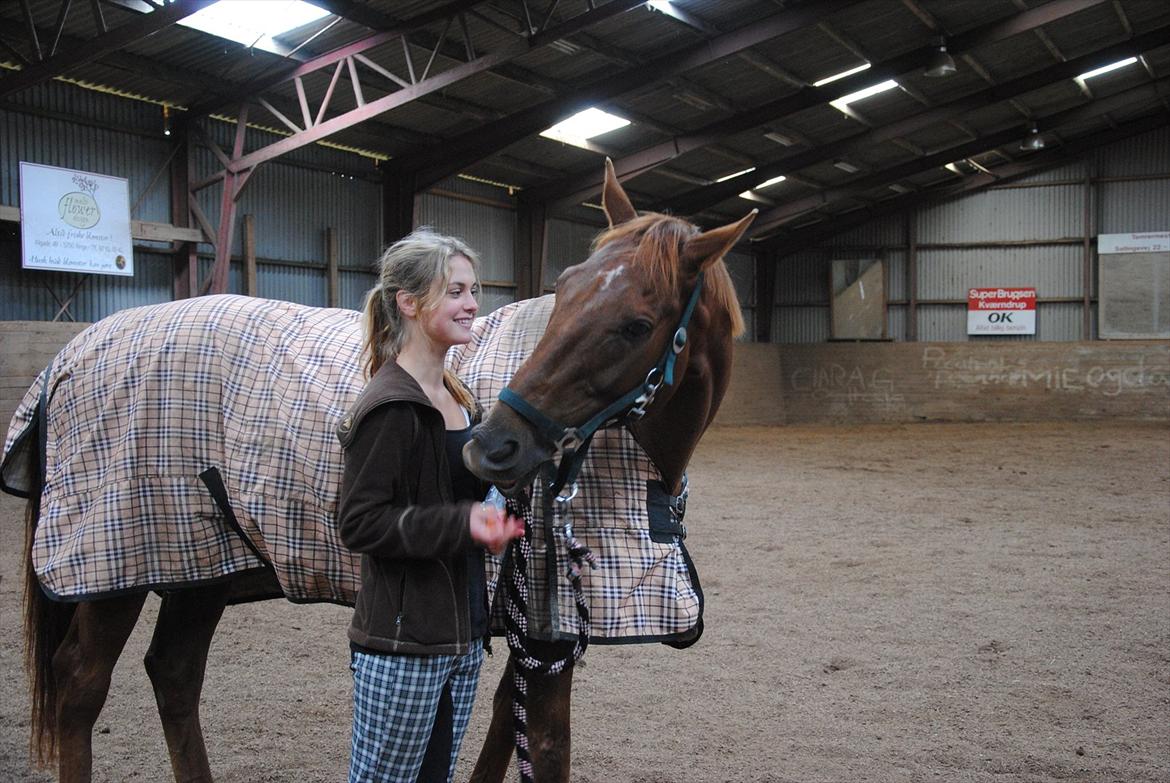 Anden særlig race Fabian  - Fabse er et stort nussehoved og elsker at hygge, og specielt når der er mad. Foto: Carina :) billede 13