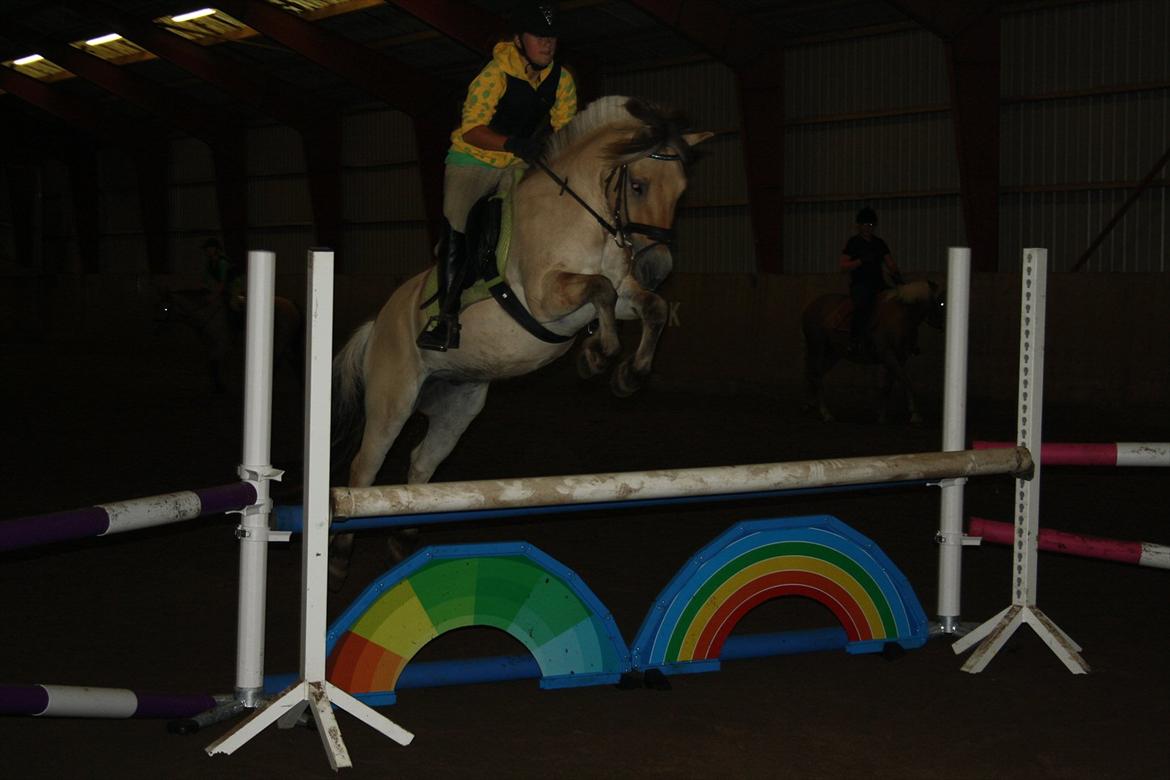 Fjordhest Lukas  - Over regnbuen, som en del af den springpakke vi vandt til DM  :). Foto: Amanda med Stines kamera billede 16